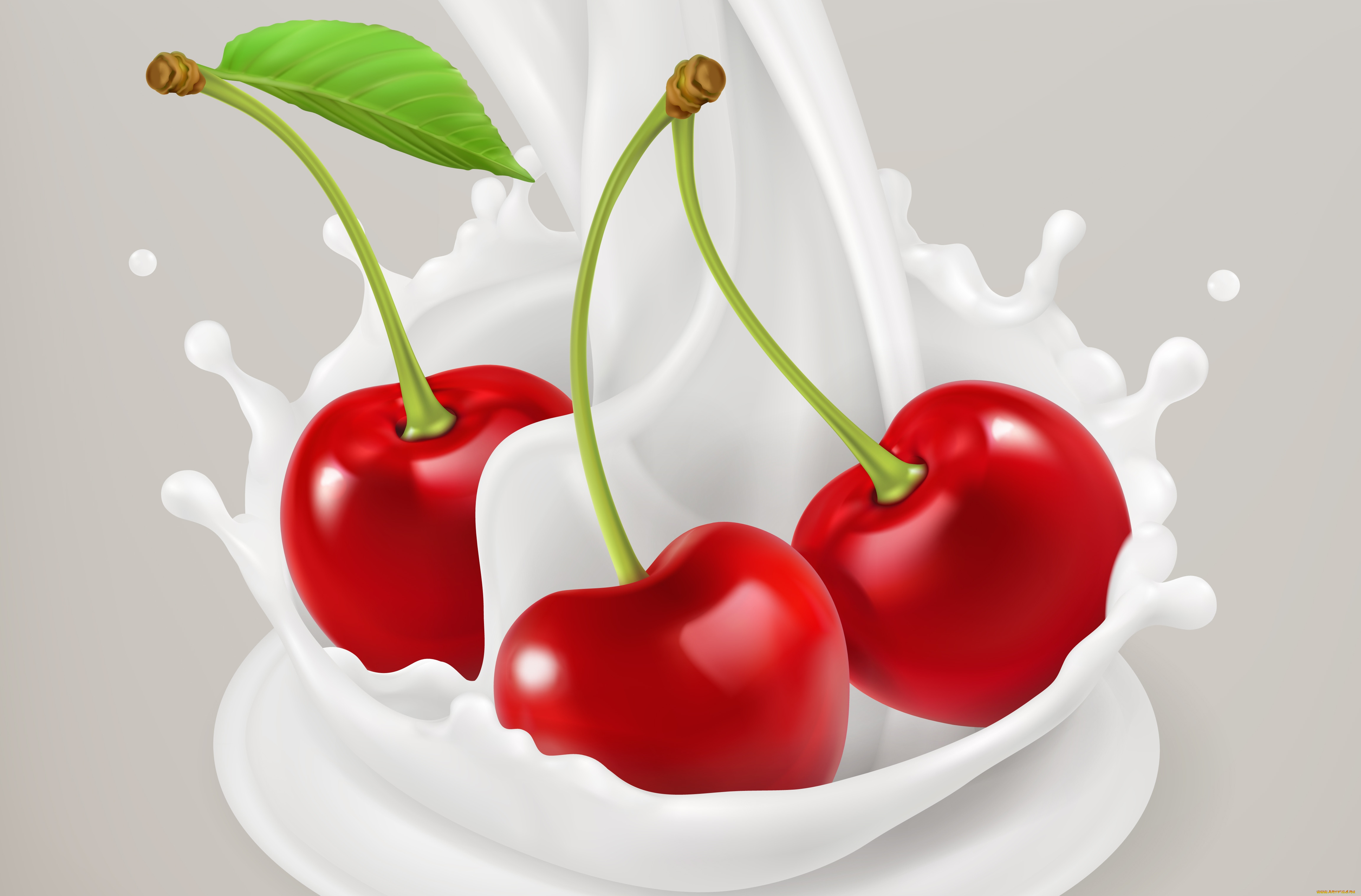  ,  , food, , , 